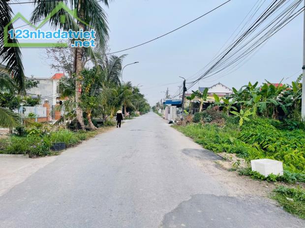 Bán đất Minh Tân - Kiến Thụy - Hải Phòng - 3