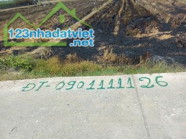 Cần Bán Lô Đất Tại Nhị Thành- Huyện Thủ Thừa- Long An