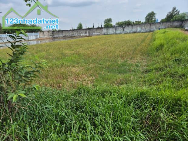 Bán đất 25x68m,  đường bê tông,   xã Đức Hòa Thượng, Đức Hòa, Long An.giá bán 5.2 tỷ,