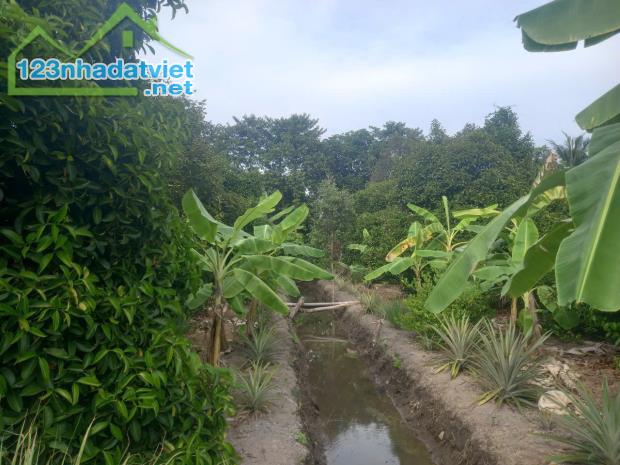VỊ TRÍ ĐẸP - ĐẦU TƯ SINH LỜI - Cần Bán Đất Chính Chủ Tại Phường An Thạnh, Thuận An, Bình - 2