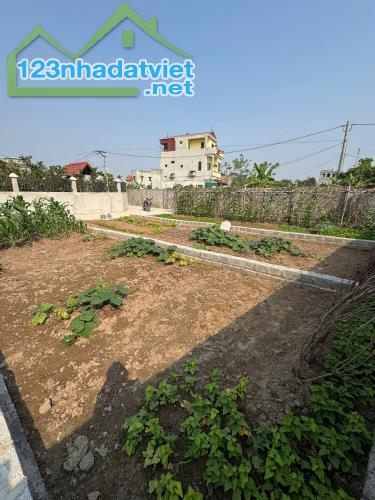 BÁN ĐẤT CHƯƠNG LỘC – CHƯƠNG DƯƠNG – THƯỜNG TÍN – 48,1M² – NGÕ RỘNG Ô TÔ – GẦN TRỤC CHÍNH - 1