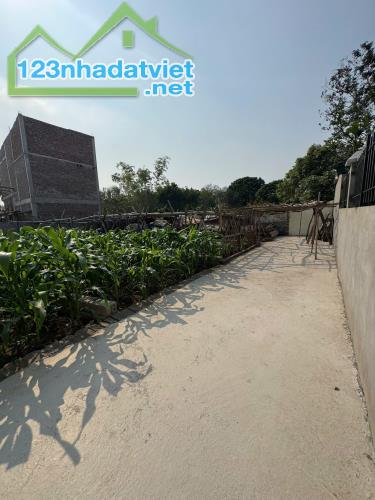 BÁN ĐẤT CHƯƠNG LỘC – CHƯƠNG DƯƠNG – THƯỜNG TÍN – 48,1M² – NGÕ RỘNG Ô TÔ – GẦN TRỤC CHÍNH