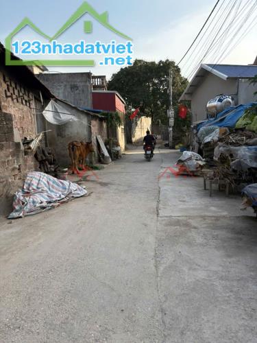 CHÍNH CHỦ BÁN LÔ ĐẤT 68M TẠI THỤY HƯƠNG-CHƯƠNG MỸ-HÀ NỘI - 1
