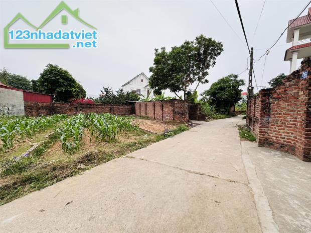 Bán đất đường thông ô tô,cách 50m ra trục chính tại Yên Ninh-Hiền Ninh giá hơn tỷ - 1