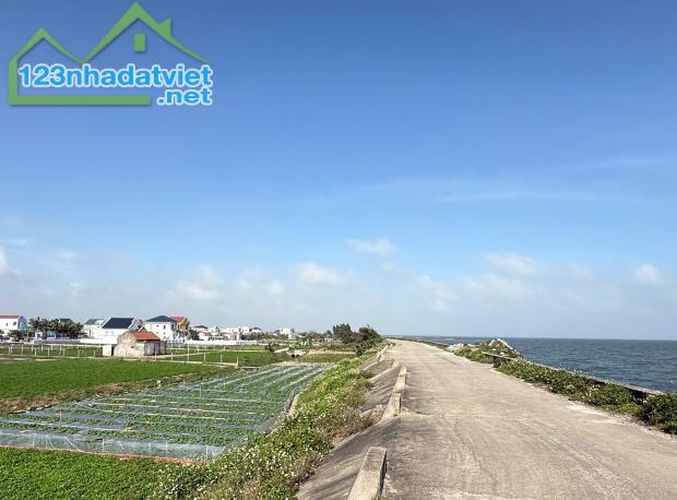 Bán đất biển Quất lâm 100m2, 5m mặt tiền, sát cạnh Flamingo - 1