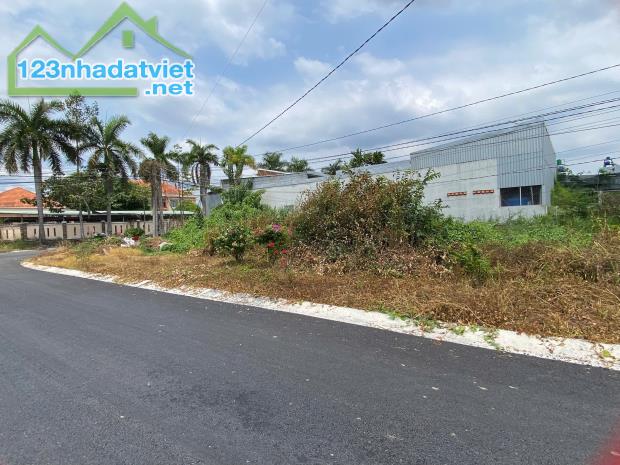 BÁN ĐẤT 2 MẶT TIỀN ĐƯỜNG XE HƠI GẦN KHU CÁNH ĐỒNG DIỀU ĐỨC HÒA. - 1