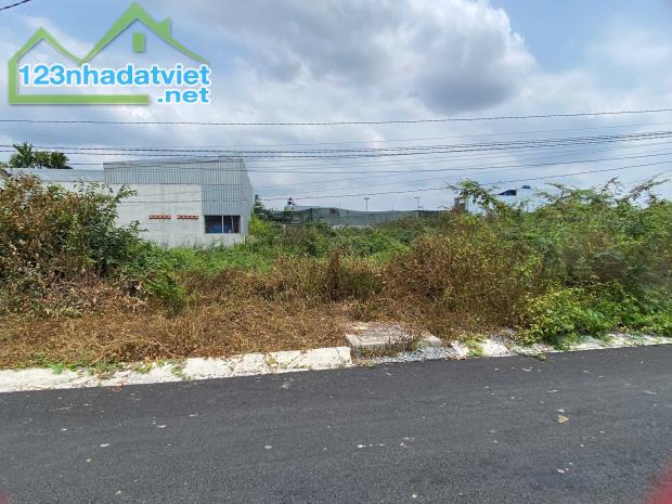 BÁN ĐẤT 2 MẶT TIỀN ĐƯỜNG XE HƠI GẦN KHU CÁNH ĐỒNG DIỀU ĐỨC HÒA. - 2