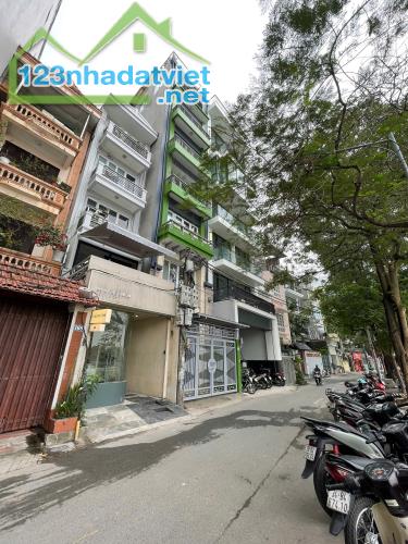 Bán nhà Mặt Phố Mai Anh Tuấn (Mặt Hồ Hoàng Cầu) 257/283m x 4Tầng, MT 8m 150 Tỷ - 2