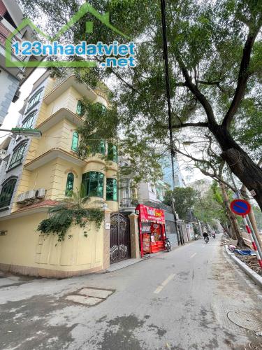 Bán nhà Mặt Phố Mai Anh Tuấn (Mặt Hồ Hoàng Cầu) 257/283m x 4Tầng, MT 8m 150 Tỷ - 4