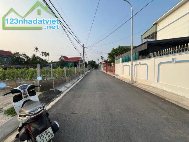 Bán đất Tân Phong - Kiến Thụy - Hải Phòng - 2