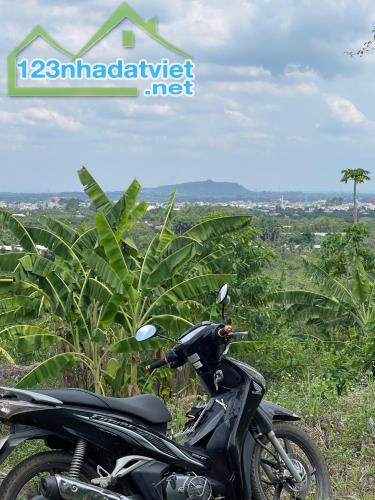 Mua đất tặng full vườn trái cây trĩu quả gần ngã 4 Dầu Giây - Thống Nhất - 3