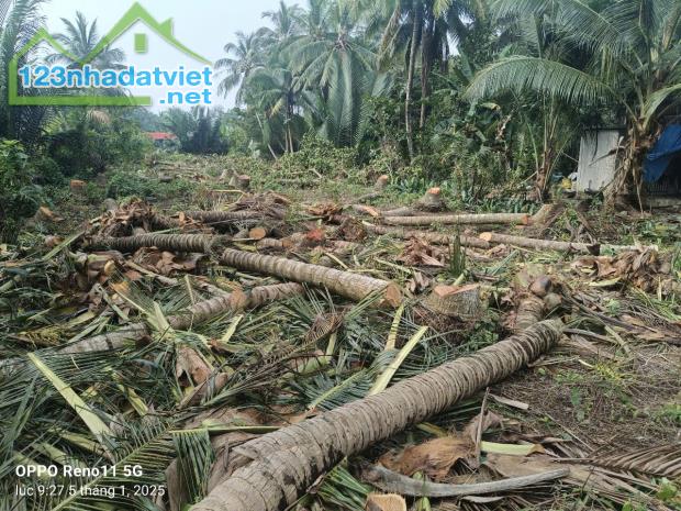 ĐẤT ĐẸP - ĐẦU TƯ SINH LỜI - Cần Bán Đất Tại Quốc lộ 60 cũ, Thành thới B, Mỏ cày Nam, Bến - 3