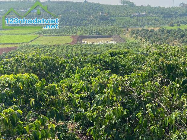 Đất đẹp- giá đầu tư Chính Chủ cần Bán Nhanh Lô Đất vị trí tại huyện Lâm Hà, tỉnh Lâm Đồng