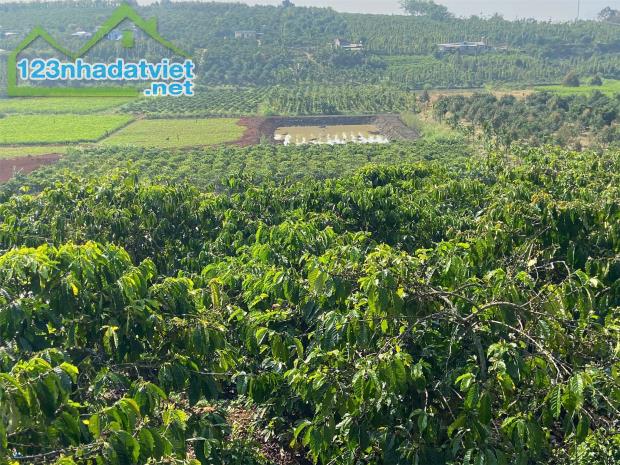 Đất đẹp- giá đầu tư Chính Chủ cần Bán Nhanh Lô Đất vị trí tại huyện Lâm Hà, tỉnh Lâm Đồng - 1
