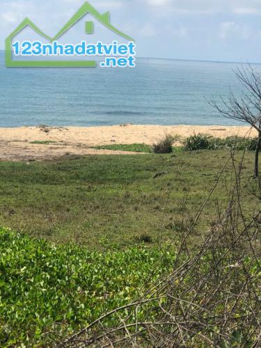 Bán đất đường huyết mạch DT719 xã Tân Thành huyện Hàm Thuận Nam mặt tiền biển kinh doanh