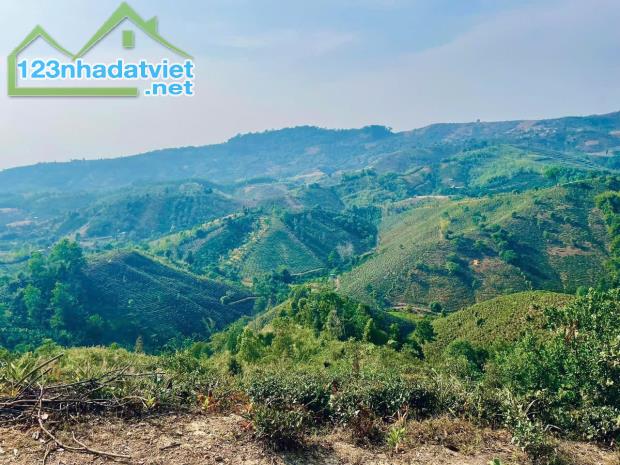 700 TRIỆU LÔ ĐẤT HƠN SÀO TẠI LỘC BẮC - LÂM ĐỒNG