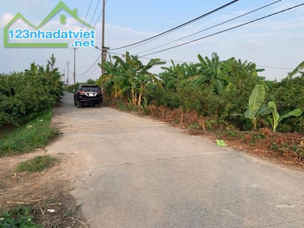 📢📢📢NGÕ TO NHƯ PHỐ - THOÁNG SÁNG - ĐƯỜNG Ô TÔ TRÁNH ĐỖ CỬA VÀO ĐẤT - ĐIỂM 10 CHO BT NHÀ - 2