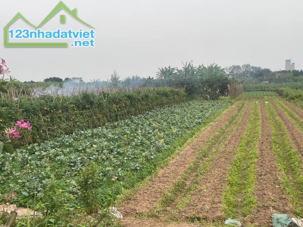Bán đất xã Yên Mỹ, Thanh Trì, dt 680m2, giá 2.25 tỷ, đường 8m, oto tránh. Lh 0888229559 - 1