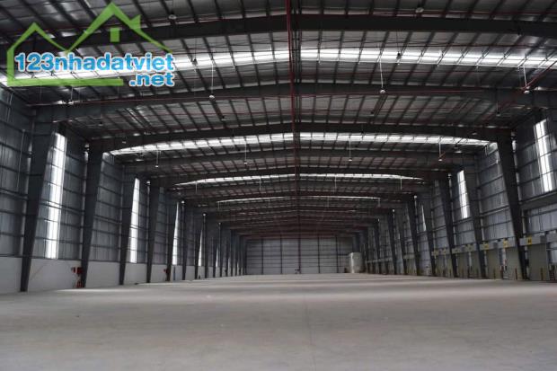 💥CẦN CHO THUÊ KHO BÃI (DEPOt) LONG THỚI, NHÀ BÈ TP HCM - 1
