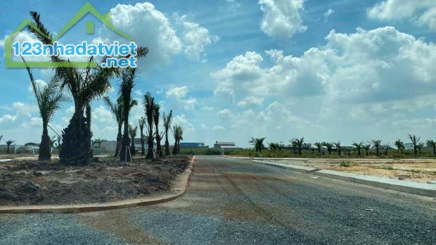 KHU ĐÔ THỊ VÀNG TÂY BẮC – KHU CÁNH ĐỒNG DIỀU ĐỨC HÒA, GIÁ RẺ