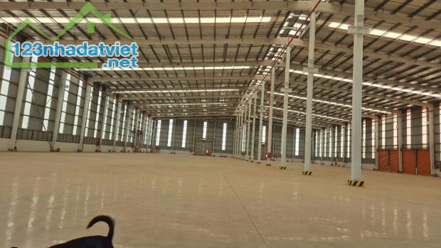 Cho thuê kho xưởng trong KCN Đồng Nai diện tích từ 6000m2 giá 3,8 đô/m2 - 3