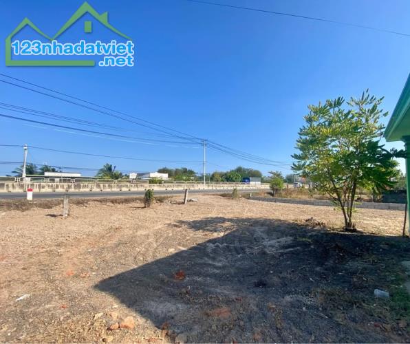 Đất mặt tiền 100m QL1A-Hàm Kiệm-Hàm Thuận Nam-Bình Thuận-DT 3.900m2,có 100m2TC - 2