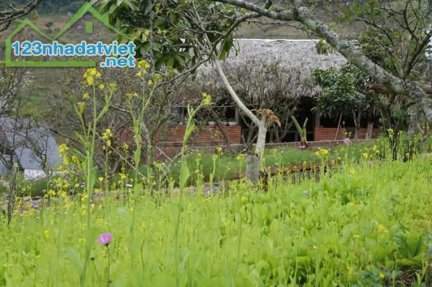 Bán Đất View Đẹp Tại Khu Du Lịch Cộng Đồng Tổ Vặt Hồng, P. Mường Sang, TX Mộc Châu
