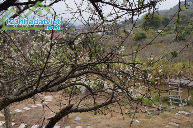 Bán Đất View Đẹp Tại Khu Du Lịch Cộng Đồng Tổ Vặt Hồng, P. Mường Sang, TX Mộc Châu - 2