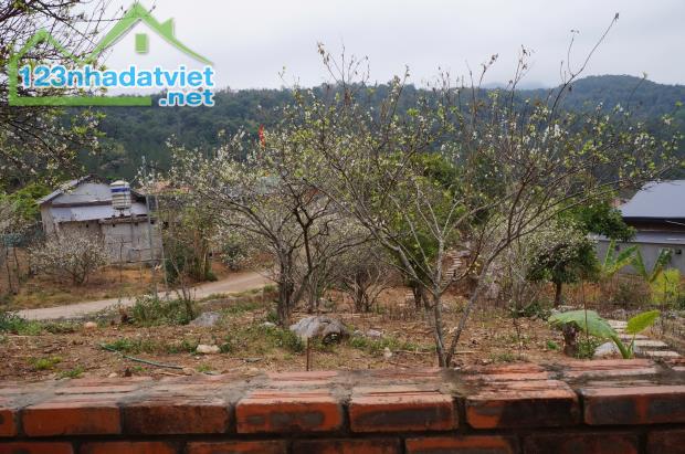 Bán Đất View Đẹp Tại Khu Du Lịch Cộng Đồng Tổ Vặt Hồng, P. Mường Sang, TX Mộc Châu - 3