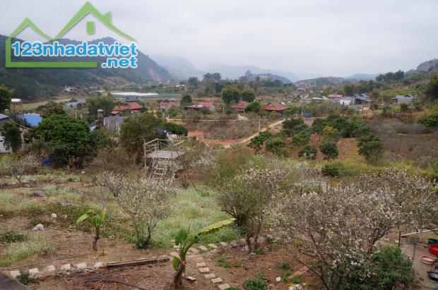 Bán Đất View Đẹp Tại Khu Du Lịch Cộng Đồng Tổ Vặt Hồng, P. Mường Sang, TX Mộc Châu - 4