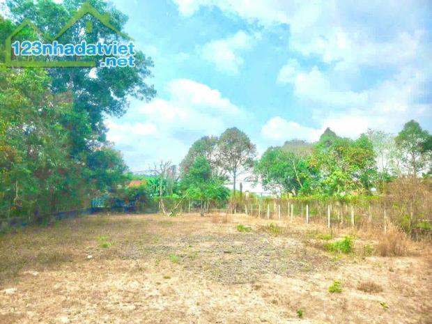Bán đất đường 357 - 1273m2 - 20x63 - 320m2 thổ cư - xã Thái Mỹ - Củ Chi - 1