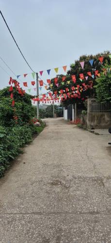 CHÍNH CHỦ BÁN LÔ ĐẤT 72M TẠI PHỤNG CHÂU-CHƯƠNG MỸ-HÀ NỘI - 1