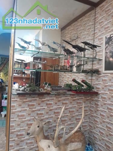 BIỆT THỰ VƯỜN ĐÀO, 699 LẠC LONG QUÂN, TÂY HỒ: 75M X5T, MT 16M, GIÁ 33 TỶ. - 2