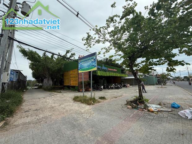 Bán Đất Vườn cổ thụ Mặt Tiền Nguyễn Chí Thanh, Dương đông, PQ - 2