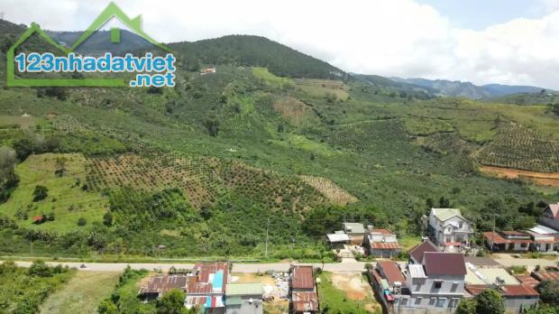Bán đất đầu tư phân lô ngay mặt tiền đường QL27, Phú Sơn, Lâm Hà, Lâm Đồng. - 3