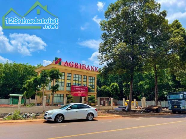 CHỈ 245TR SỞ HỮU 350M2 ĐẤT THỔ CƯ MẶT TIỀN CHỢ CỔNG KHU DÂN CƯ DÂN SINH ĐÔNG ĐÚC - 1