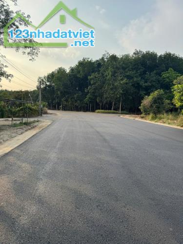 LÔ GÓC 2 MẶT TIỀN LỘ NHỰA 120M BÁM ĐƯỜNG (75 X 45 = 3.450m2) CHỈ 890TR - 1