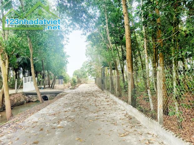 Bán đất 1/ đường Võ Văn Điều - 790m2 - 15x61 nở hậu 17m - xã Phước Thạnh - Củ Chi