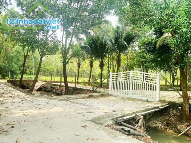Bán đất 1/ đường Võ Văn Điều - 790m2 - 15x61 nở hậu 17m - xã Phước Thạnh - Củ Chi - 1