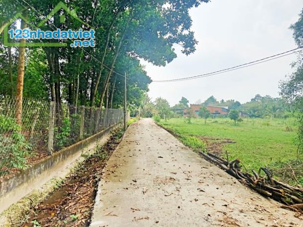Bán đất 1/ đường Võ Văn Điều - 790m2 - 15x61 nở hậu 17m - xã Phước Thạnh - Củ Chi - 2