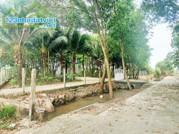 Bán đất 1/ đường Võ Văn Điều - 790m2 - 15x61 nở hậu 17m - xã Phước Thạnh - Củ Chi - 3