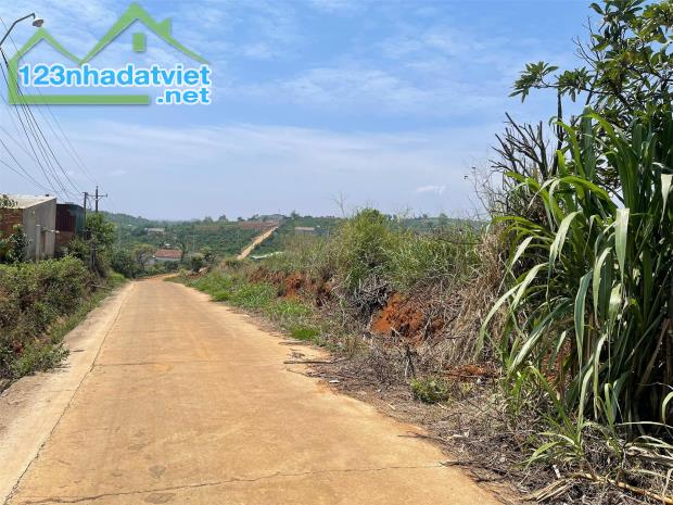 BÁN ĐẤT XÃ TÂN THANH VÙNG VEN ĐÀ LẠT CHÍNH CHỦ - 3