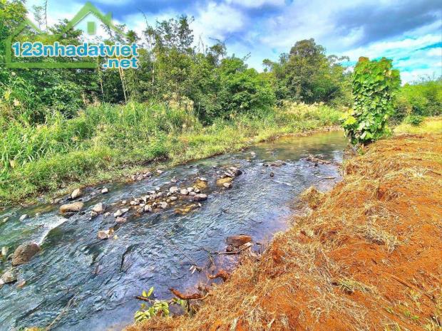 Bán đất vườn 1000m2 ở Tân Hưng chỉ 250tr