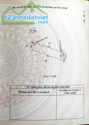Bán đất vườn 1000m2 ở Tân Hưng chỉ 250tr - 2