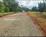 2700m2 trên đất có cây bưởi chỉ 155tr/1000m