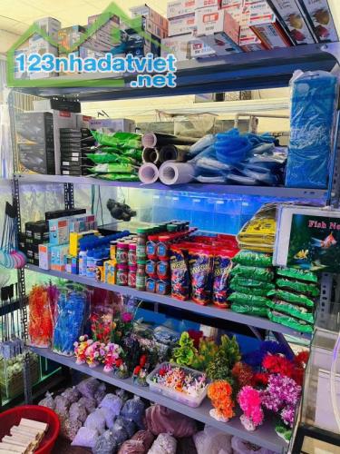 Quận 7 ! Sang Tiệm – Cửa Hàng Cá Cảnh , MT 51 nguyễn thị thập, p tân phú, Tel : - 1