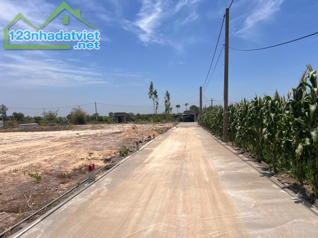 Bán Gấp Cặp Nền Đất 300m2, giá 750tr/nền,Xã Long Mỹ (Thị Trấn Phước Hải), cách Biển 3km - 1