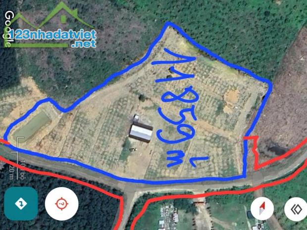 Bán Farm Sông Cầu - Khánh Vĩnh đang thu hoạch - điện nước đầy đủ gần Quốc Lộ 27C - 5