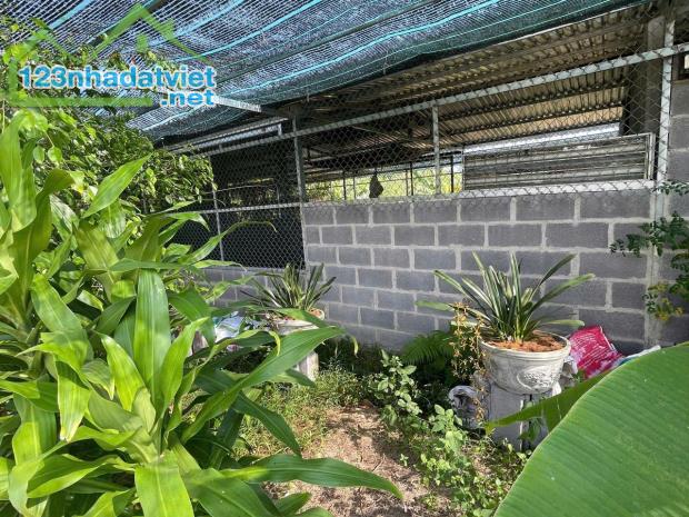 Bán Farm Sông Cầu - Khánh Vĩnh đang thu hoạch - điện nước đầy đủ gần Quốc Lộ 27C - 3