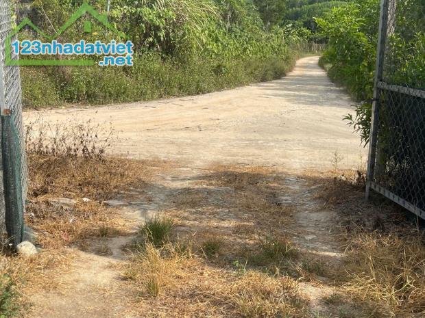 Bán Farm Sông Cầu - Khánh Vĩnh đang thu hoạch - điện nước đầy đủ gần Quốc Lộ 27C - 2